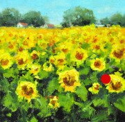 "Sunflowers," 6 x 6 inches. Oil. Sold.
