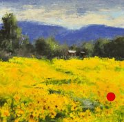 "Acres of Sunflowers," 8 x 8 inches. Oil. Sold.