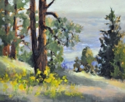 "Lookout Mountain Overlook," 8 x 10 inches. Oil. Sold.