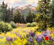 "Summer Lupine," 10 x 12 inches, Oil. Sold.
